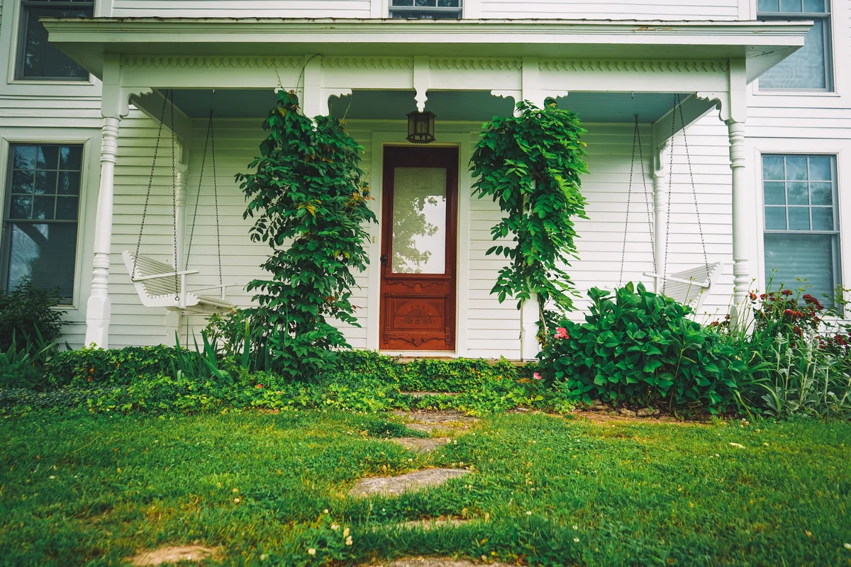 White wood-sided house with a red front door and leafy porch plantings.